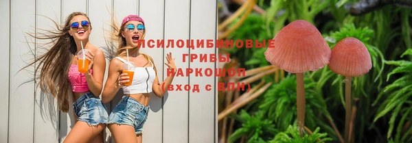 крисы Абдулино
