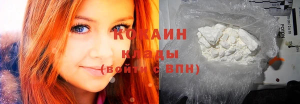 прущие грибы Абинск