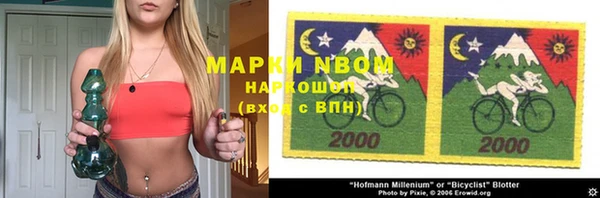 прущие грибы Абинск