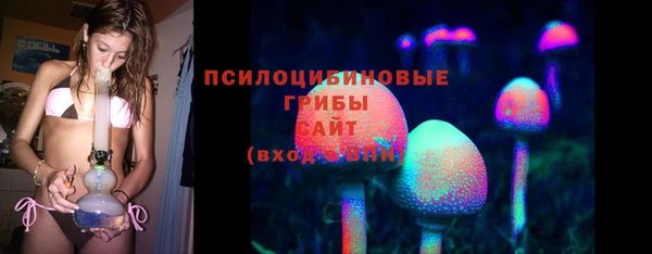 a pvp Абаза