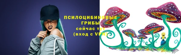 прущие грибы Абинск