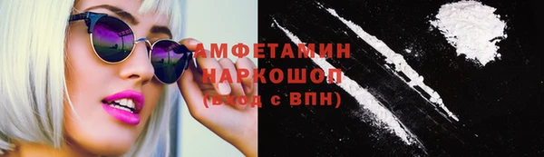 прущие грибы Абинск
