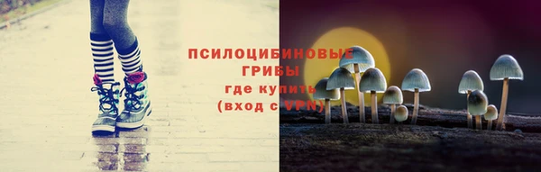 крисы Абдулино