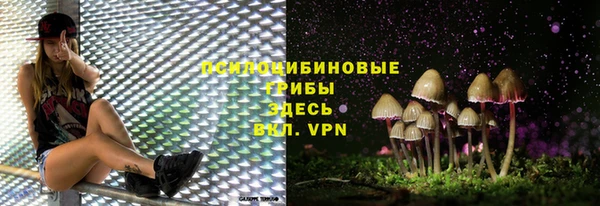 прущие грибы Абинск
