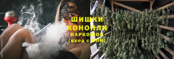 крисы Абдулино