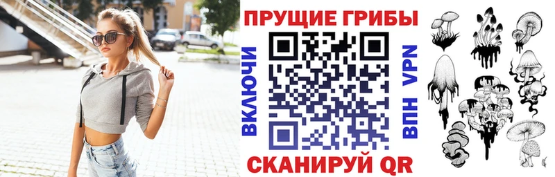 гидра   Камень-на-Оби  Галлюциногенные грибы GOLDEN TEACHER  закладка 