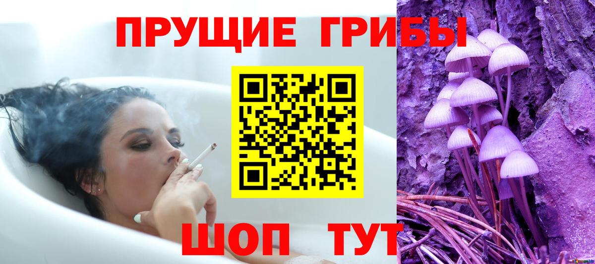 Камень-на-Оби  Галлюциногенные грибы мухоморы  Вход с VPN  закладки  Псилоцибиновые грибы ЛСД 